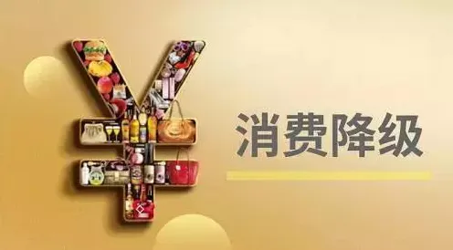 面对消费降级成为主流，系统论告诉我们这件事比你想的更重要