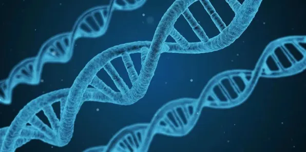 人们越来越难以专注?5大神经可塑性相关研究告诉你答案 人们越来越难以专注?5大神经可塑性相关研究告诉你答案