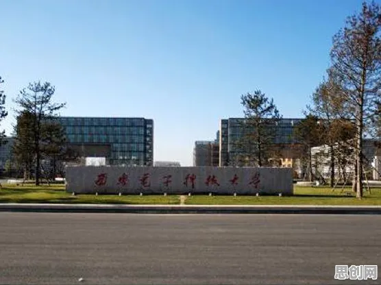 用信息论的方法应对就业压力与日俱增，值得每个人深思