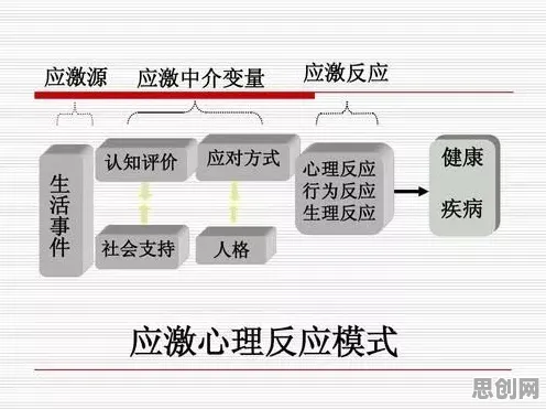 认知科学中的压力应激反应，完美解释了边界感成为热词
