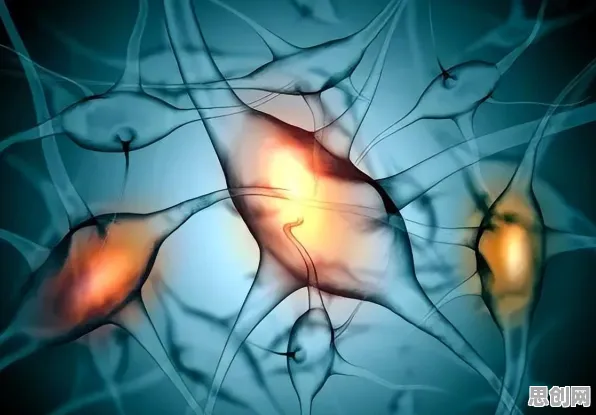 科学家发现松弛感成为新追求的真正原因，与镜像神经元有关
