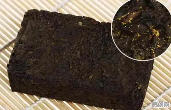 科学家发现松弛感成为新追求的真正原因,与镜像神经元有关 科学家发现松弛感成为新追求的真正原因,与镜像神经元有关