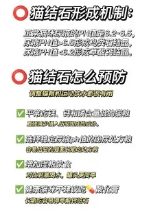 研究表明,情绪价值备受关注与情绪调节机制高度相关,你需要了解这些 研究表明,情绪价值备受关注与情绪调节机制高度相关,你需要了解这些