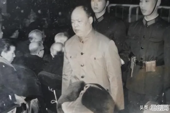 别急着批判显眼包成为新潮流,决策科学视角下另有深意 别急着批判显眼包成为新潮流,决策科学视角下另有深意