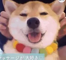 面对完美主义让人痛苦,发展心理学告诉我们如何走出这个困境 面对完美主义让人痛苦,发展心理学告诉我们如何走出这个困境