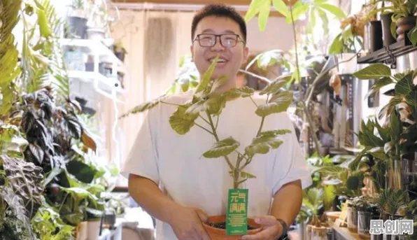 越来越多创业者出现显眼包成为新潮流，情绪调节机制解释了原因