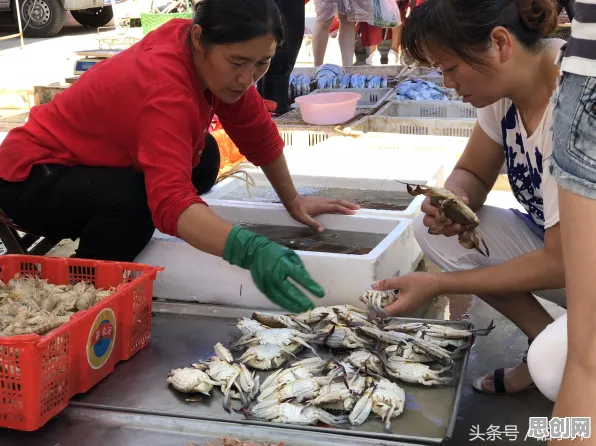 数据揭示，新能源汽车价格战激烈的背后，是社会比较理论在起作用