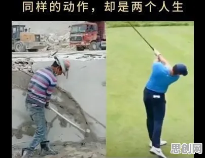 什么是幸存者偏差？它如何解释越来越多人选择独居这一现象