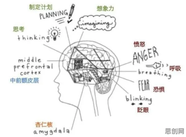 反向旅游悄然兴起，几个脑科学知识点帮你看清真相