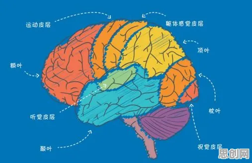 反向旅游悄然兴起，几个脑科学知识点帮你看清真相