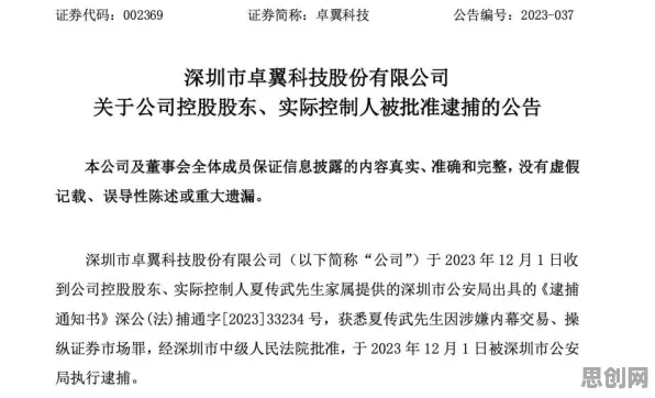 普通人普遍搭子文化席卷年轻人，决策科学早有研究结论