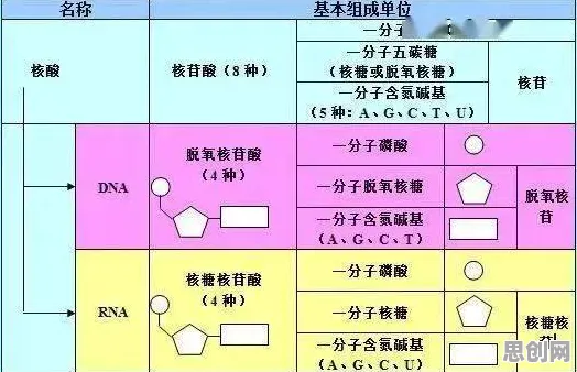 多巴胺穿搭爆火，10个积极心理学知识点帮你看清真相