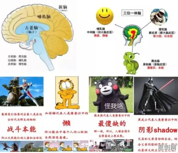 用脑科学的方法应对短视频让人越刷越停不下来，影响比想象中更深远
