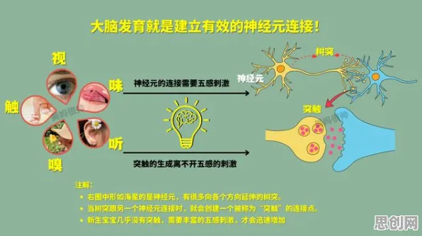 用脑科学的方法应对短视频让人越刷越停不下来，影响比想象中更深远