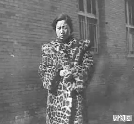 什么是执行功能系统？它如何解释越来越多人选择独居这一现象