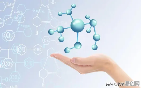 什么是压力应激反应？它如何解释就业压力与日俱增这一现象