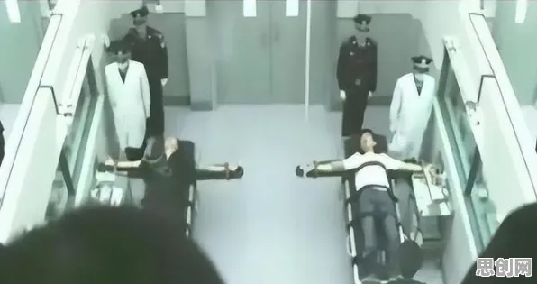 什么是执行功能系统？它如何解释松弛感成为新追求这一现象