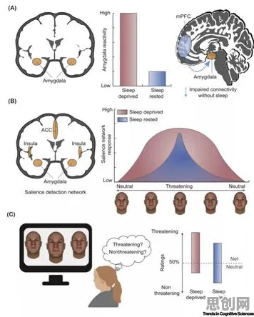 科学家发现睡眠障碍人群激增的真正原因，与注意力资源理论有关