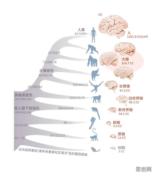 为什么大模型技术爆发?进化心理学的科学研究早有发现 为什么大模型技术爆发?进化心理学的科学研究早有发现