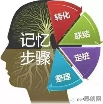 搞懂5大个记忆科学原理，才能真正理解房价持续调整