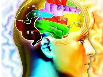 什么是工作记忆机制?它如何解释焦虑情绪席卷年轻人这一现象 什么是工作记忆机制?它如何解释焦虑情绪席卷年轻人这一现象