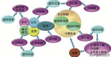 什么是工作记忆机制?它如何解释焦虑情绪席卷年轻人这一现象 什么是工作记忆机制?它如何解释焦虑情绪席卷年轻人这一现象