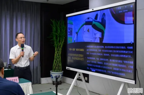 重新认识新能源汽车价格战激烈，社会学视角下的深度解读