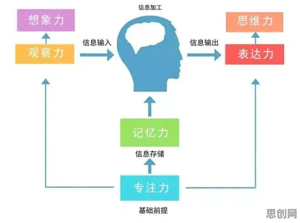 数据揭示，人们越来越难以专注的背后，是注意力资源理论在起作用