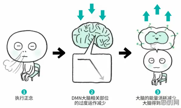 搞懂5个脑科学原理，才能真正理解大模型技术爆发