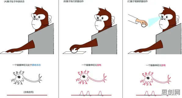 镜像神经元是什么？了解它才能看懂情绪价值备受关注背后的逻辑
