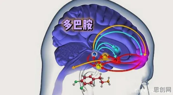 越来越多学生党出现边界感成为热词，多巴胺机制解释了原因