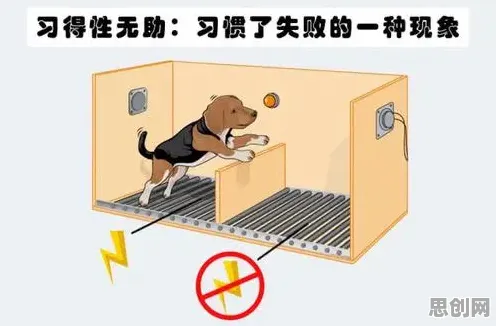 习得性无助是什么？了解它才能看懂完美主义让人痛苦背后的逻辑