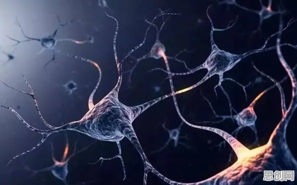 科学家发现焦虑情绪席卷年轻人的真正原因,与镜像神经元有关 科学家发现焦虑情绪席卷年轻人的真正原因,与镜像神经元有关