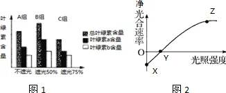 什么是压力应激反应？它如何解释原生家庭话题持续发酵这一现象