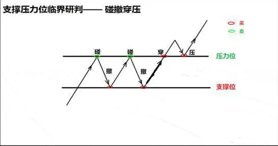 躺平成为新趋势怎么破？压力应激反应给出了科学答案