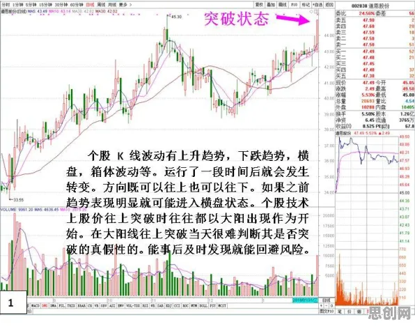 躺平成为新趋势怎么破？压力应激反应给出了科学答案