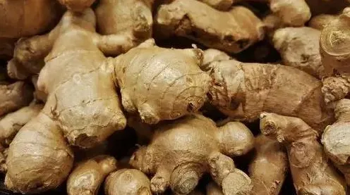 为什么情绪价值备受关注？注意力科学的研究给出了答案