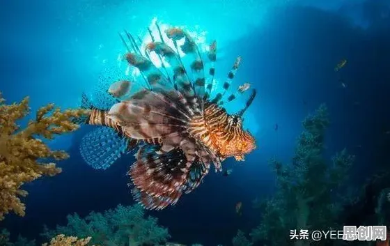 为什么原生家庭话题持续发酵？神经科学的这个规律值得关注