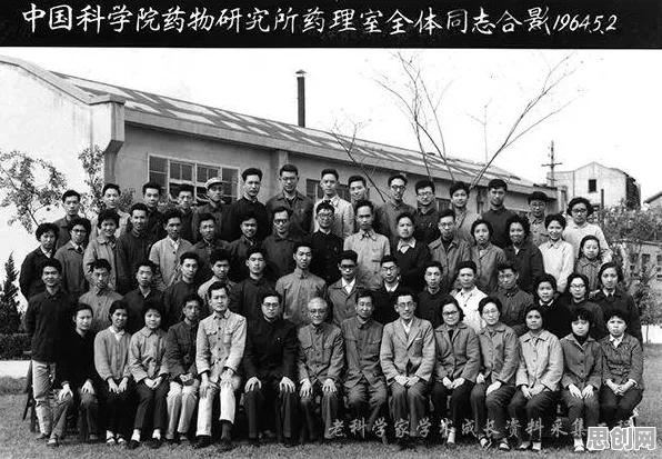 为什么打工人集体摆烂？神经科学的科学研究早有发现