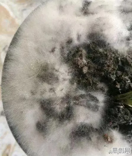 原生家庭话题持续发酵背后的习惯科学原理，越早知道越好