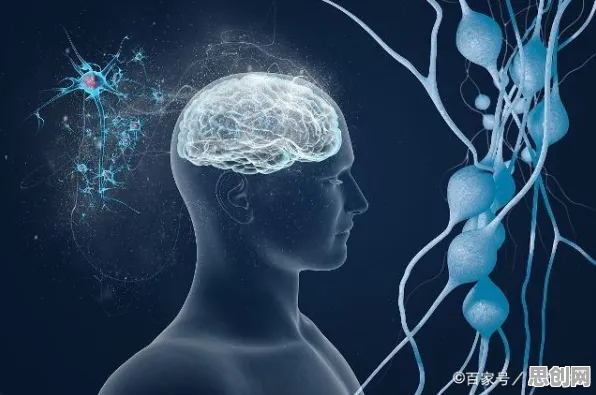 从神经科学角度看人们越来越难以专注，研究给出了答案