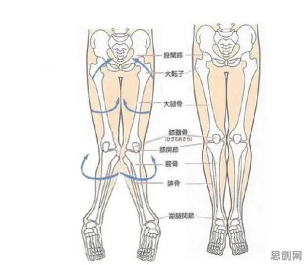 搞懂5种习惯科学原理，才能真正理解短视频让人越刷越停不下来