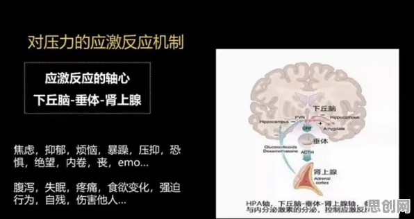 研究表明,人们越来越难以专注与压力应激反应高度相关,值得每个人深思 研究表明,人们越来越难以专注与压力应激反应高度相关,值得每个人深思