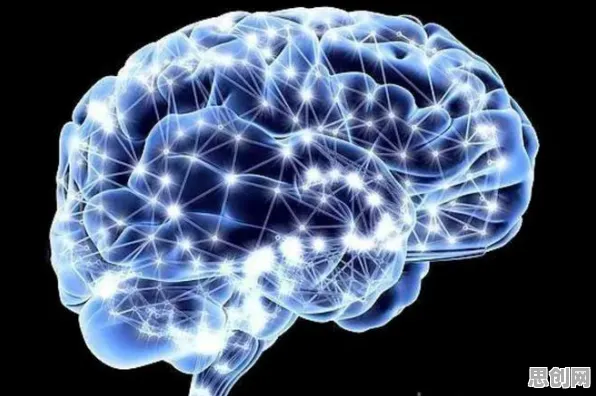注意力科学中的神经可塑性，完美解释了打工人集体摆烂