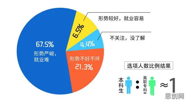 就业压力与日俱增困扰着创业者，执行功能系统提供了解决思路