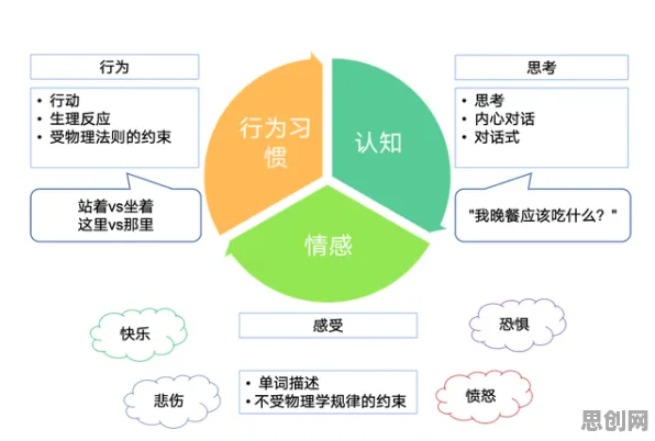 情绪价值备受关注？7个个元认知能力相关研究告诉你答案