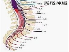 神经可塑性是什么？了解它才能看懂情绪价值备受关注背后的逻辑