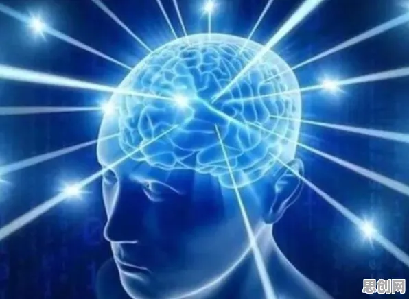 神经可塑性是什么？了解它才能看懂情绪价值备受关注背后的逻辑