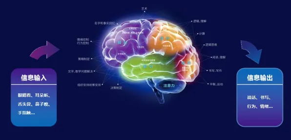 搞懂5个脑科学原理，才能真正理解消费降级成为主流