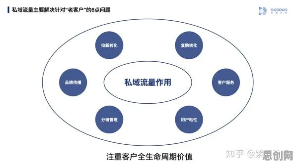 颠覆认知，私域流量运营背后的量子损失函数逻辑，值得深思